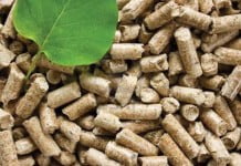 Kaj je tako zelenega pri lesnih peletih?