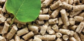Kaj je tako zelenega pri lesnih peletih?