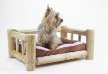 INTERVJU: Matej Bah, Navdih gozda za praktične izdelke iz lesa