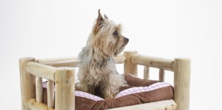 INTERVJU: Matej Bah, Navdih gozda za praktične izdelke iz lesa