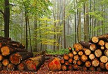 Investicija v prihodnost: Kotel na drva Seltron UKP SMART